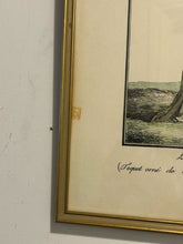 Load image into Gallery viewer, Vintage Print "La Petite Coquette" by Philbert-Louis Debucourt