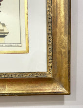 Load image into Gallery viewer, Framed Botanical "I Mulder Fecit" by Abraham Munting