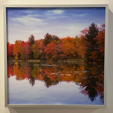 Load image into Gallery viewer, Lenticular Wall Art "Woodland Reflections" by Michael Brown