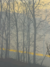 Load image into Gallery viewer, Serene Landscape Lithograph Print by Tison, signed & numbered
