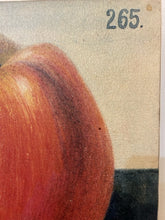 Load image into Gallery viewer, Vintage Stretched Canvas Print of Upside Down Apple 265