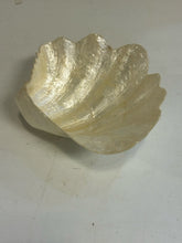 Load image into Gallery viewer, Footed Mother of Pearl Clam Shell Bowl
