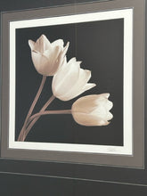 Load image into Gallery viewer, Framed Photograph of Tulips, signed