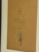 Load image into Gallery viewer, Framed Pressed Botanical