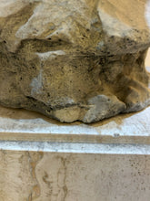 Load image into Gallery viewer, Vintage Cement Bust/Planter