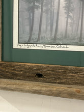 Load image into Gallery viewer, Rustic Framed Photograph "Fog-Lodgepole Pines Genesee, Colorado" by Steve Tohari