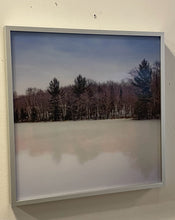 Load image into Gallery viewer, Lenticular Wall Art "Woodland Reflections" by Michael Brown