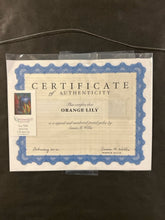 Load image into Gallery viewer, Original Pastel Giclee "Orange Lily" by Susan Willis, signed