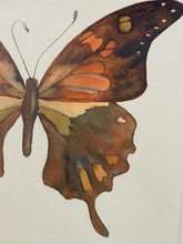 Load image into Gallery viewer, Watercolor of Butterfly #23 in Grey Distressed Frame from Nell Hill's