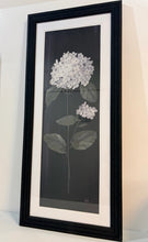 Load image into Gallery viewer, Framed Hydrangea Flower Blossom Print by NAN