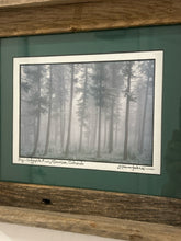 Load image into Gallery viewer, Rustic Framed Photograph "Fog-Lodgepole Pines Genesee, Colorado" by Steve Tohari