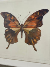 Load image into Gallery viewer, Watercolor of Butterfly #23 in Grey Distressed Frame from Nell Hill's