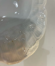 Load image into Gallery viewer, Large Ceramic Fish Platter from Haviland Limoges