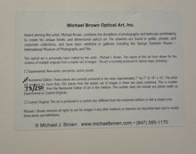 Load image into Gallery viewer, Lenticular Wall Art "Woodland Reflections" by Michael Brown