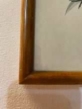 Load image into Gallery viewer, Vintage Bluebird Print from &quot;State Birds &amp; Flowers&quot; Series by Arthur Singer
