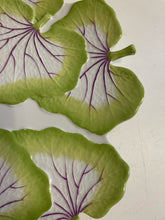 Load image into Gallery viewer, Medium Lily Pad Plate from Williamsburg Global Views
