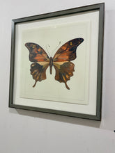 Load image into Gallery viewer, Watercolor of Butterfly #23 in Grey Distressed Frame from Nell Hill's

