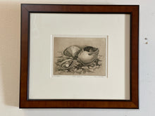 Load image into Gallery viewer, Framed Print &quot;Three Shells&quot; by Bob Defrates signed and numbered
