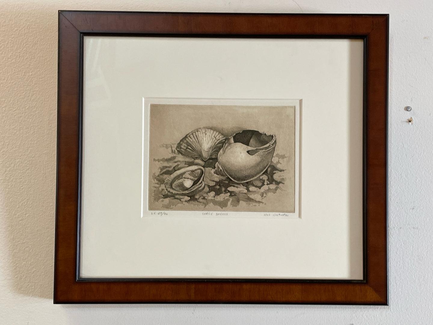 Framed Print 