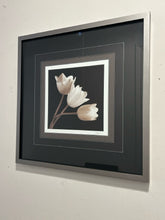 Load image into Gallery viewer, Framed Photograph of Tulips, signed
