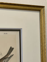 Load image into Gallery viewer, Lithograph of Blackburnian Wood Warbler

