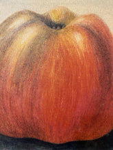 Load image into Gallery viewer, Vintage Stretched Canvas Print of Upside Down Apple 265
