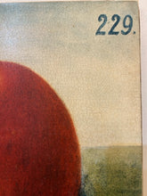 Load image into Gallery viewer, Vintage Stretched Canvas Print of Upside Down Apple 229
