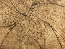 Load image into Gallery viewer, Framed Print by Carole Haate, signed &amp; numbered
