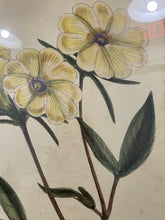 Load image into Gallery viewer, Vintage Yellow Botanical in Gold Frame
