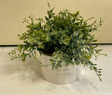 Load image into Gallery viewer, Faux Dogwood Plant in White Planter
