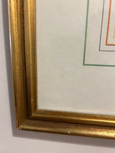 Load image into Gallery viewer, Framed Botanical &quot;Balaustia, Prunus Myrobalanus Rotundus and Mala Armeniaca
