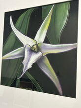 Load image into Gallery viewer, Original Giclee of Orchid by Susan Willis, signed
