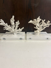 Load image into Gallery viewer, Pair of White Coral Decorative Wall Sconces
