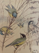 Load image into Gallery viewer, Framed Print of Four Birds
