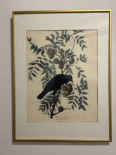 Load image into Gallery viewer, Vintage Print American Crow

