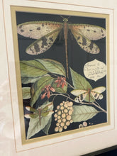 Load image into Gallery viewer, Pair of Botanical Prints with  Dragonflies
