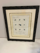 Load image into Gallery viewer, Custom Framed Print Insects Tab XLII
