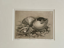 Load image into Gallery viewer, Framed Print &quot;Three Shells&quot; by Bob Defrates signed and numbered

