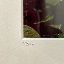 Load image into Gallery viewer, Framed Print of Original Photograph - Sunflowers and Blue Sky, signed &amp; numbered
