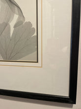 Load image into Gallery viewer, X-Ray Photograph of Flowers by Steven N. Meyers
