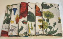 Load image into Gallery viewer, Six Botanical Dinner Napkins
