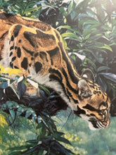 Load image into Gallery viewer, Limited Edition Framed Lithograph &quot;Jungle Phantom&quot; by Simon Combes, signed
