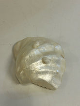 Load image into Gallery viewer, Footed Mother of Pearl Clam Shell Bowl
