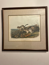 Load image into Gallery viewer, Audubon Lithograph &quot;Say&#39;s Marmot Squirrels No 23&quot;, Plate CXIV

