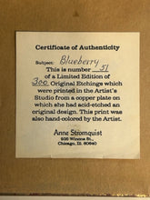 Load image into Gallery viewer, Original Etching &quot;Blueberry&quot; by Anne Stromquist, signed &amp; numbered

