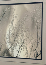 Load image into Gallery viewer, Framed Art Print of Botanical Branches
