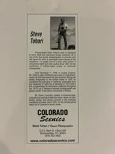 Load image into Gallery viewer, Rustic Framed Photograph &quot;Fog-Lodgepole Pines Genesee, Colorado&quot; by Steve Tohari
