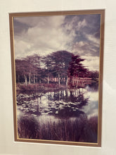 Load image into Gallery viewer, Framed Photograph of Lily Pads on Water
