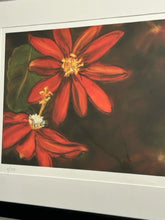 Load image into Gallery viewer, Original Pastel Giclee "Scarlet Passion Flowers" by Susan Willis, signed
