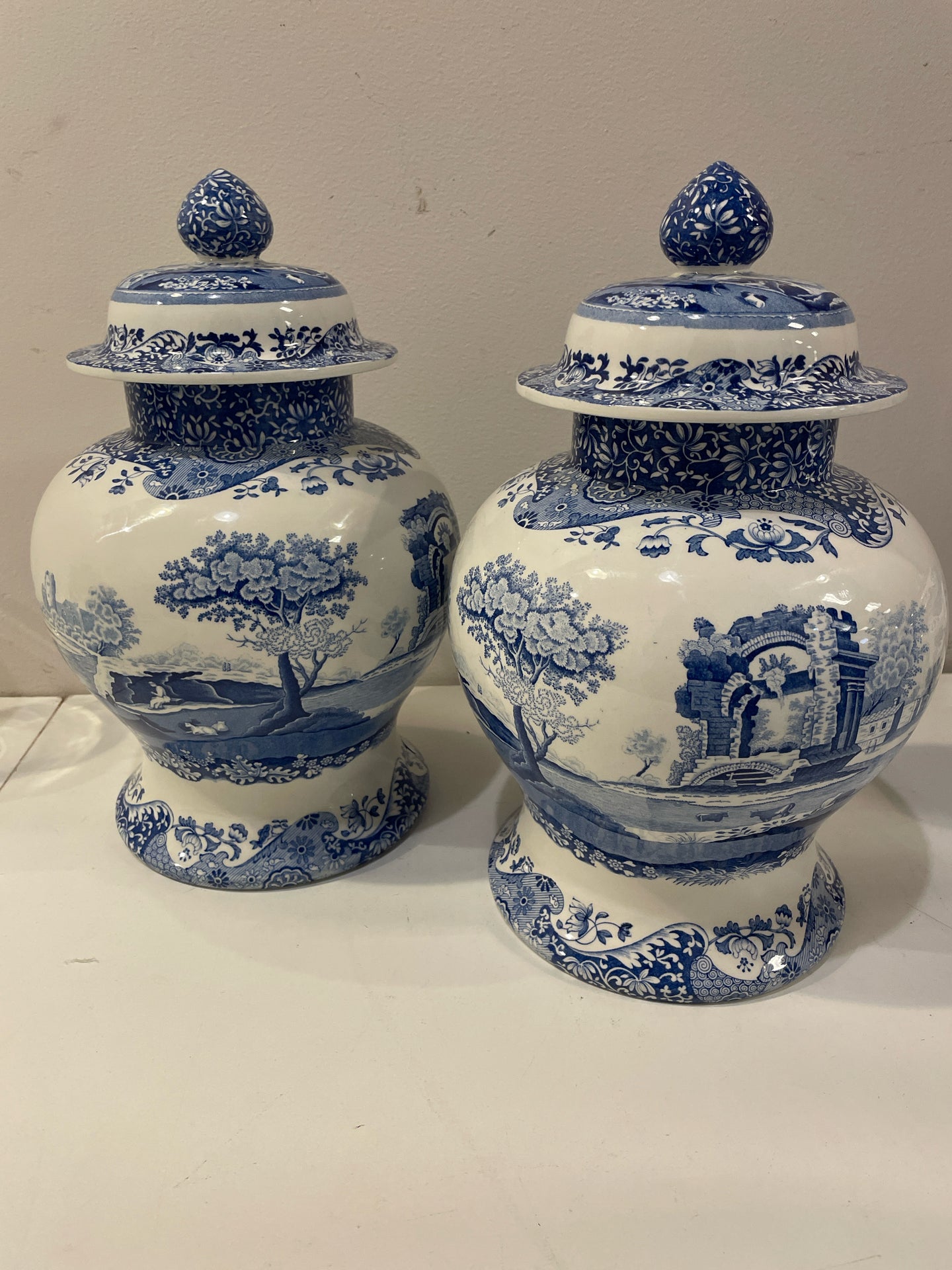 Pair of Lidded Jars from Spode